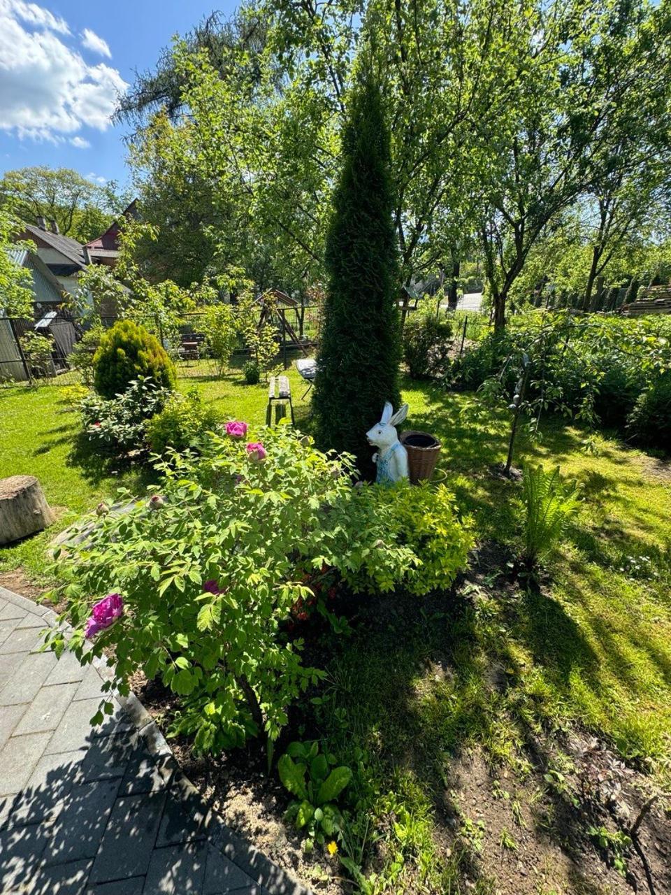 Girske Povitria 2 Villa Jaremtsje Eksteriør bilde