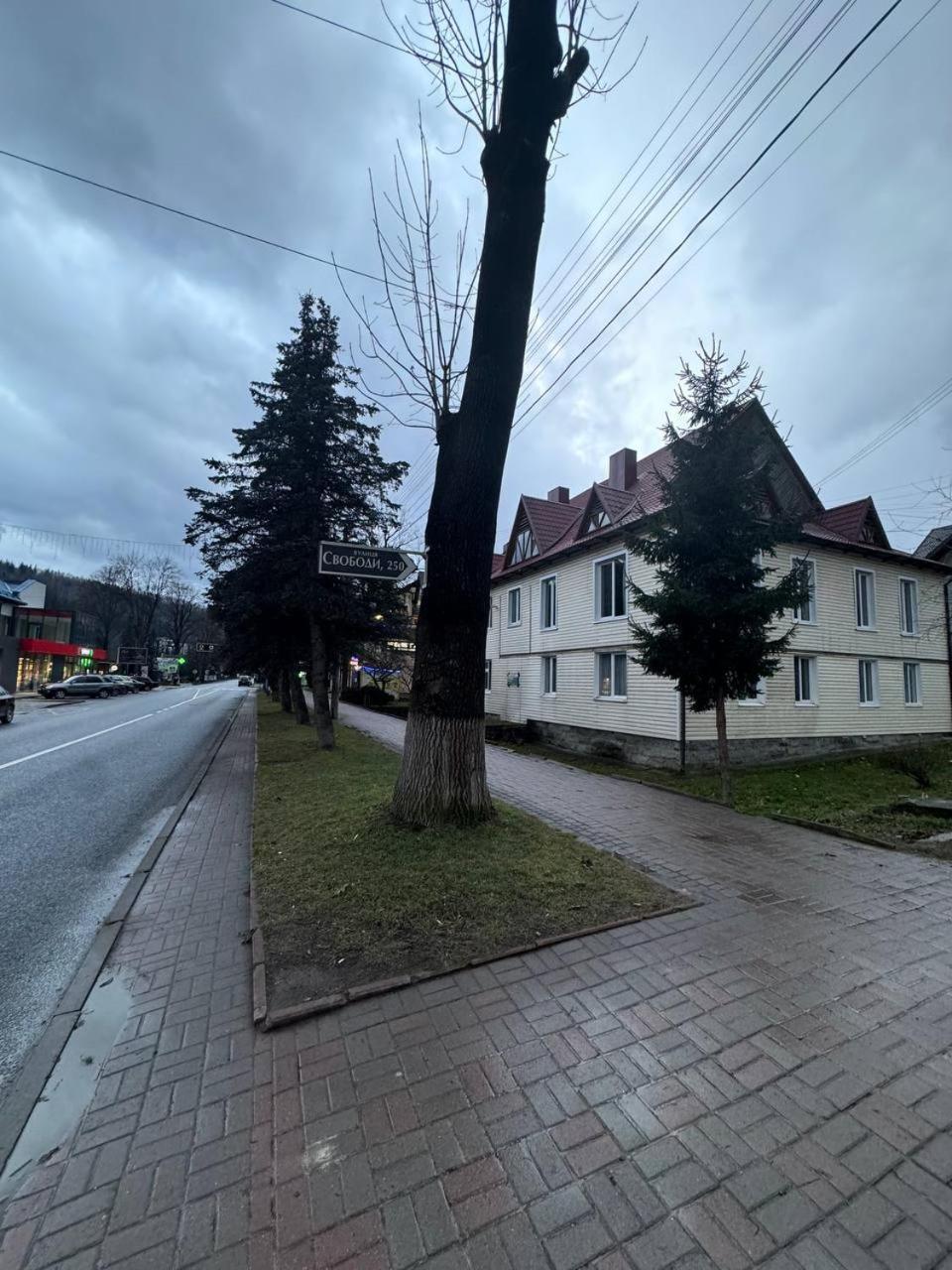 Girske Povitria 2 Villa Jaremtsje Eksteriør bilde